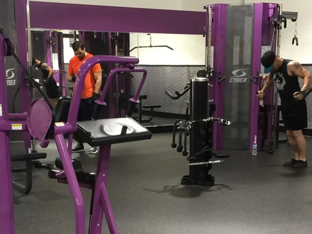 Transforming Fitness Landscape: The Impact of Intelligent Mirrors on Elite Workouts