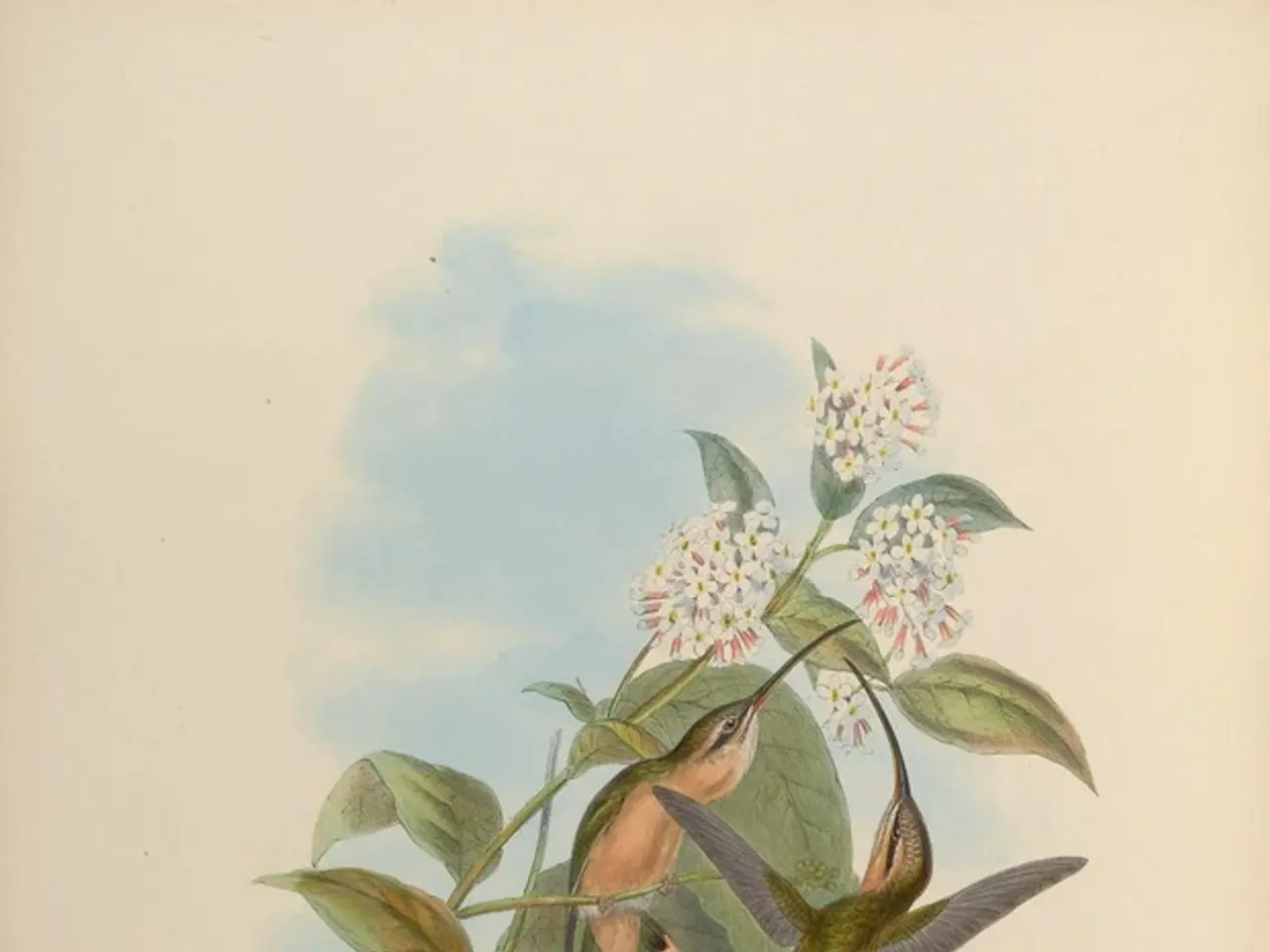 Illustrated Manuals on Botanical Drawing: An Extensive Overview of Natural Art Representation