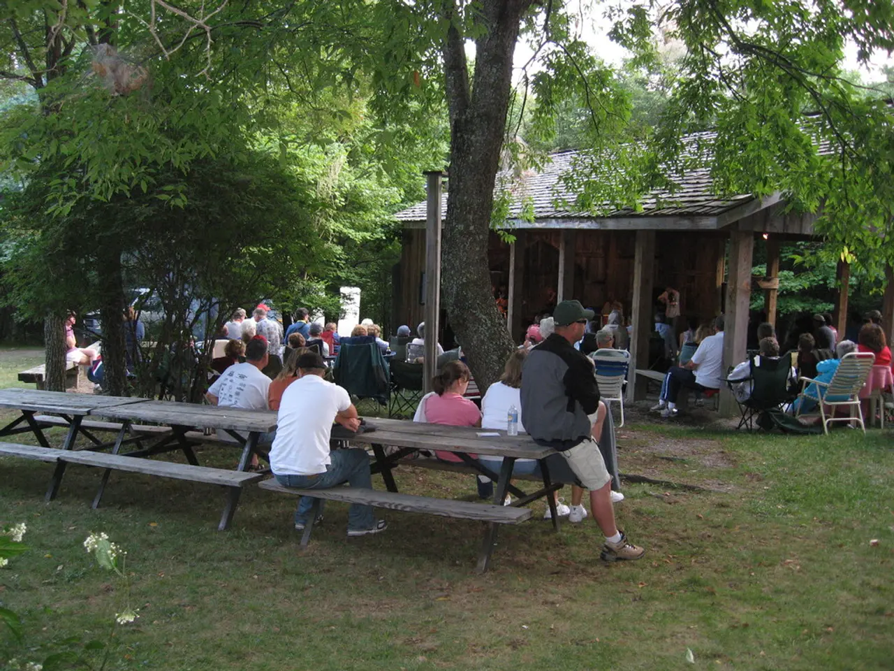 Vibrant Community Garden in Freiburg Offers Equal Ground for Everyone