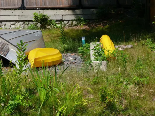 Future New Zealand 2025: Preserving Our Ecosystems