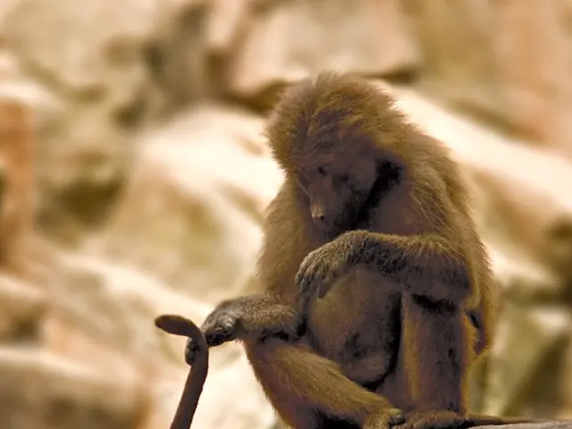 Strategies Recommended by Neurologists for Financial Success in Life