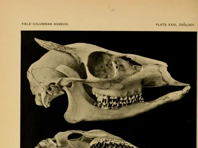 Awareness and Action Week for Brain Injuries, held from 14th to 20th May, 2012