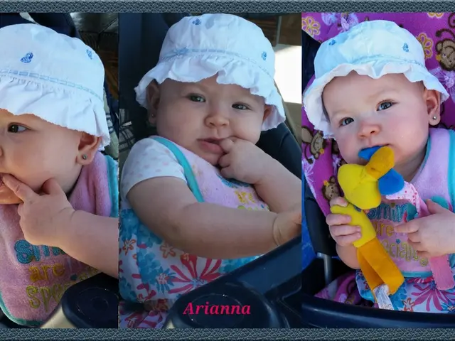 Majority Acquisition of The Learning Experience finished by Harvest Partners concluded successfully