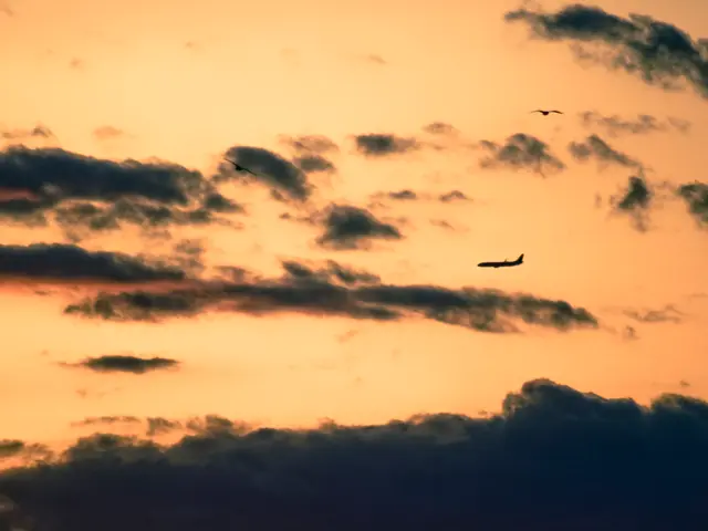 Air Force professions set to receive reenlistment incentives in 2025 - Check out the list below: