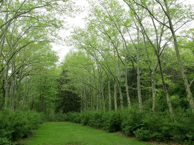 Discussing Land Preservation: Insights Gained from the 2025 World Bank Land Conference