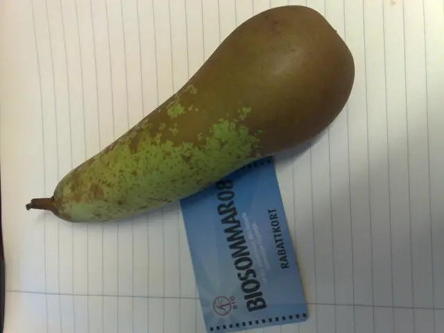 Strategies for Regulating Uric Acid Levels and Gout Management