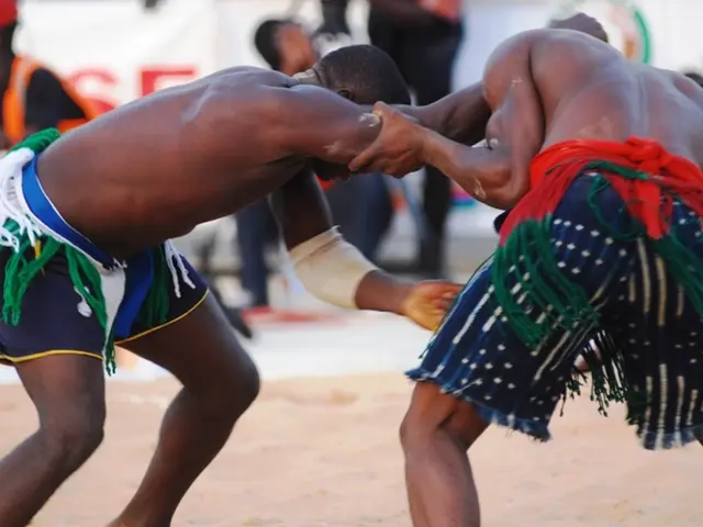 Designing Dispute Resolution Systems