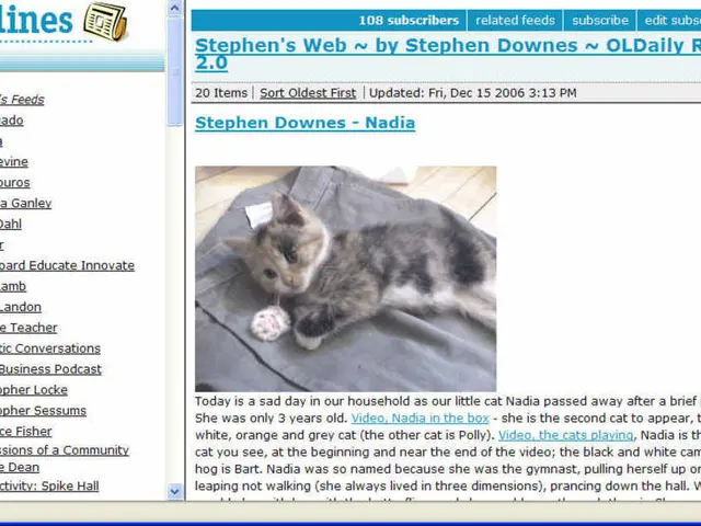 Uncover the Pinnacle Articles on RandomGiantNet Blog