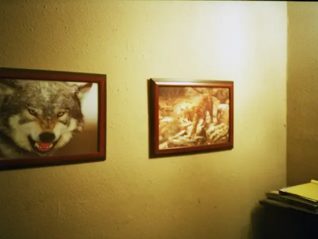 Course Planning Showdown: TigerJunction vs ReCal for the Upcoming Academic Term