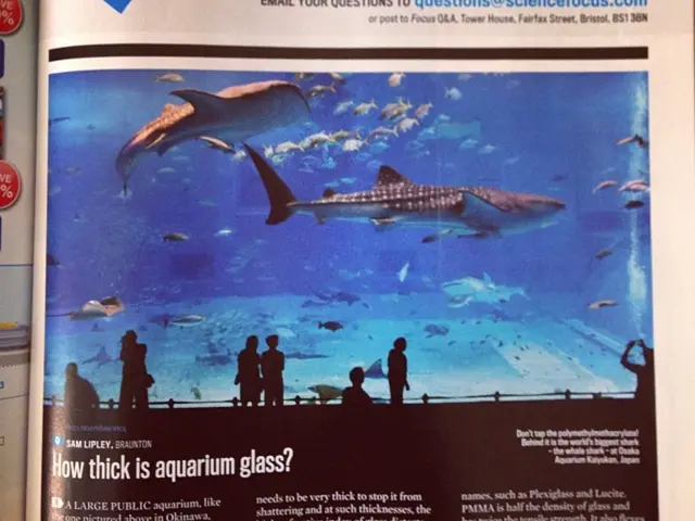 Alabama Falls Short in Child Care: A Path Towards Improvement Is Clear