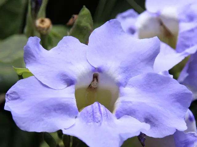 Daily Routines to Boost Efficiency: Productivity Tips from Highly Successful Business Owners