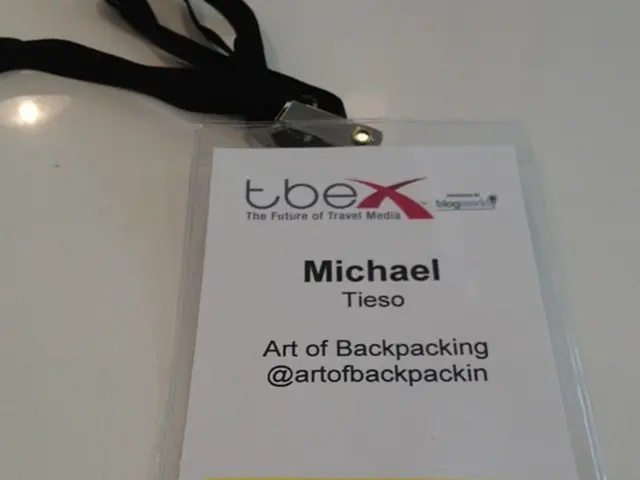 Online Identity Deceptions: Exploring the Misleading Realms of Digital Personas