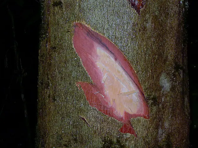 Top 10 Outstanding Tools for Inspiring STEM Education