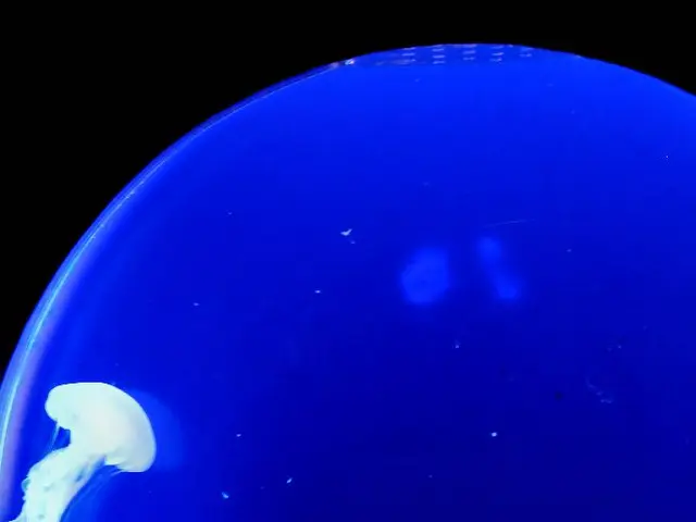 Ancient Fossil Initially Identified as a Caterpillar Later Revealed as a Distinct Species of Its...