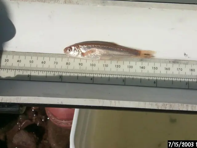 Effective Time Management Strategies Revealed