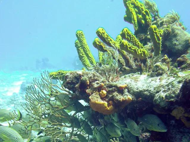 College-funded Students Offer Shared Perspectives on 2022