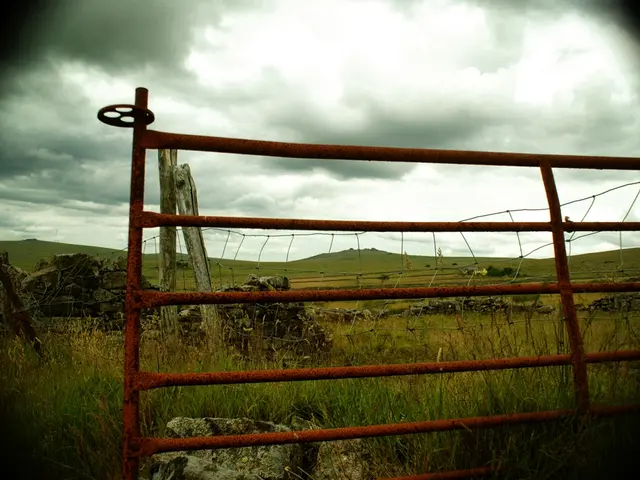 Contentious Holiday Dispute Surrounds "Bayern DNA" Among Most Germans
