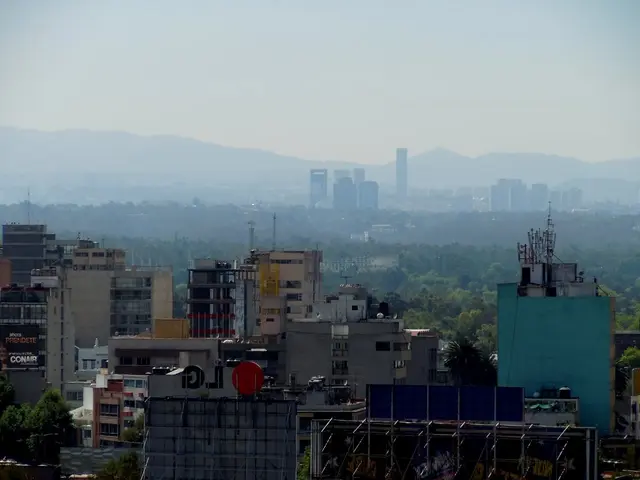 "Vocabulary Terms for Pupils in Grades 6 through 8, Accompanied by Definitions and Usage Examples"