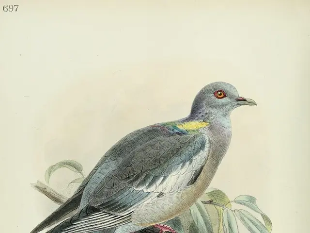 Tech Giant Standard Bank Initiates STEAM Coding Contest in KwaZulu-Natal to Narrow the Digital Gap