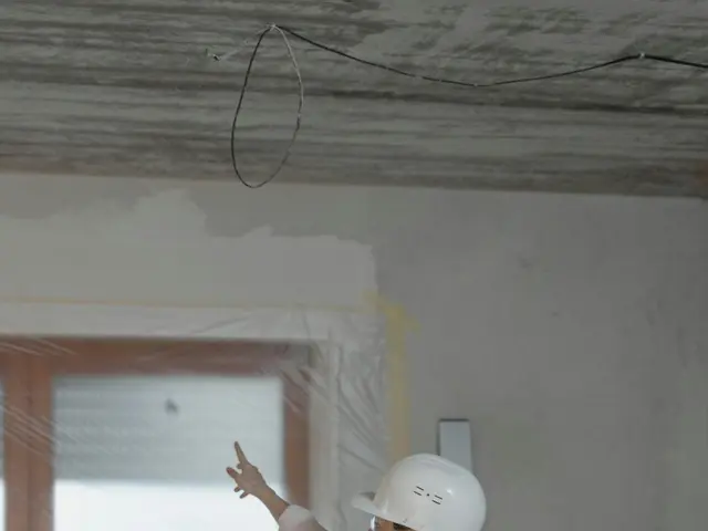 Examination of Commonly Used Tools for Measuring Executive Functions in Leadership Positions