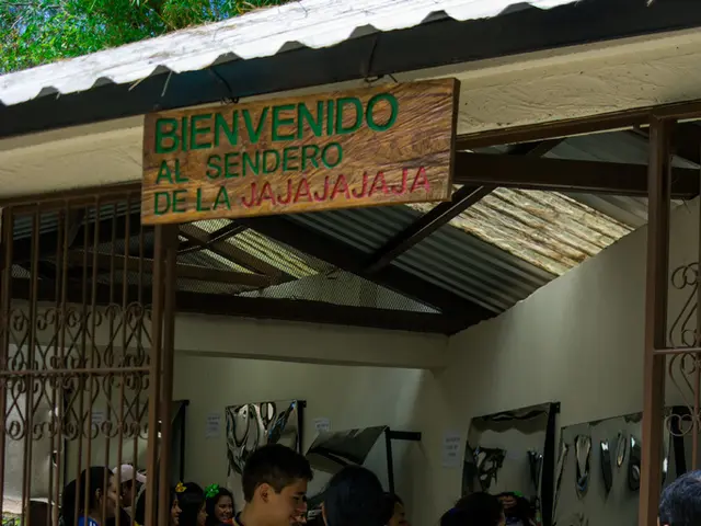 Examining thegraded assessment criteria for IB Business Management with a focus on 10 assessment...