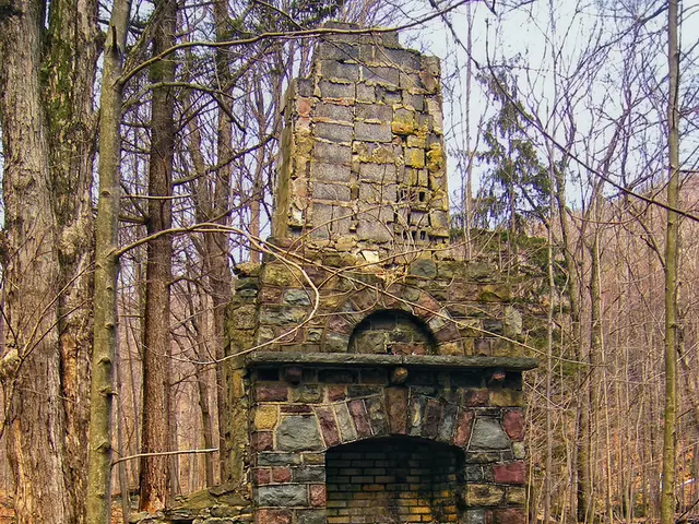 Assessing construction projects: Financial benefits for construction professionals