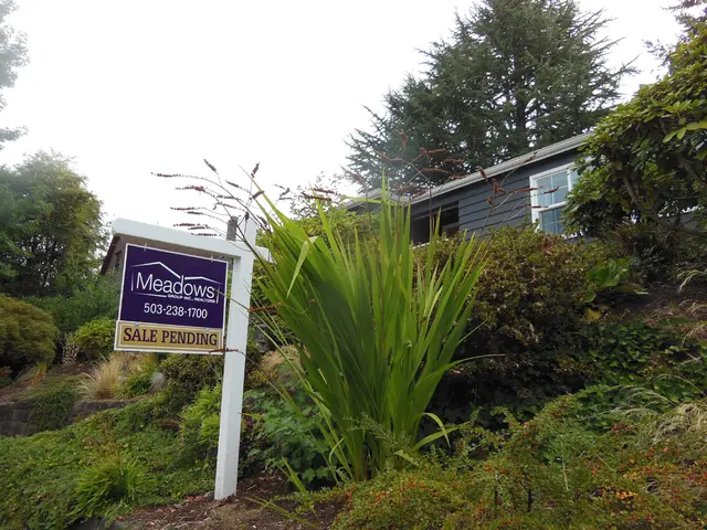 Summertime Christmas Display: Holiday Lights in July, Beaver Habitats, and Hidden Crypts (2025)