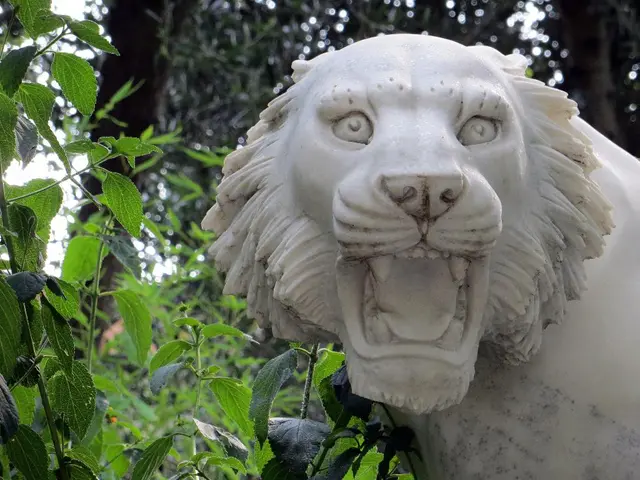 Dream interpretation: Unraveling the symbols within your sleeping visions