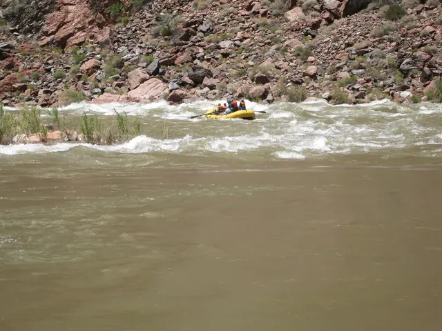 Project Highlights for Spring 2025: Youth Edition