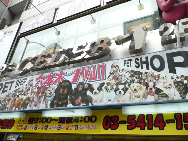 Decline in foot traffic criticized, linking it to Tate's programming; however, socioeconomic...