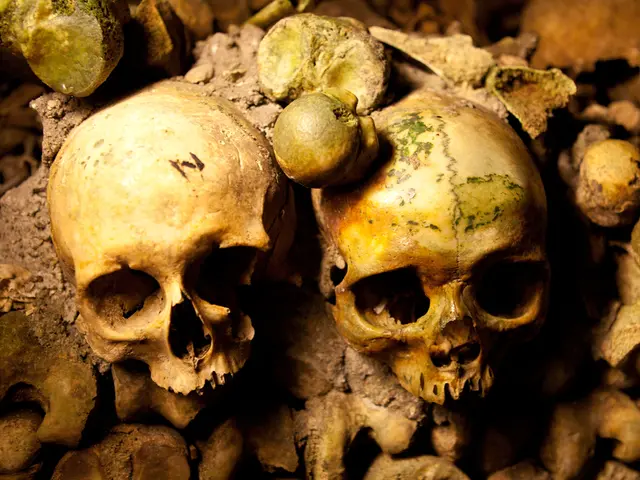 Human Legacy Likely to Consist of Primarily Chicken Remnants