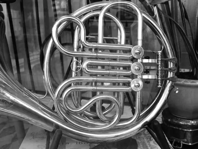 Music School Introduces Fresh academic Staff