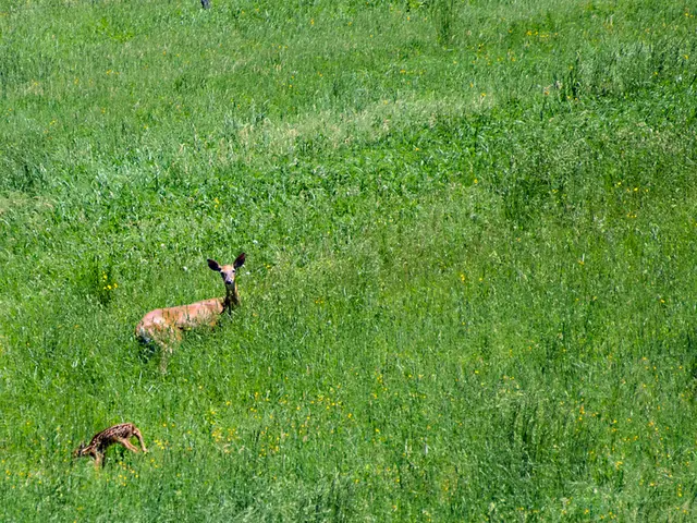 Humanity's Survival and the Prioritization of Immediate Financial Gains