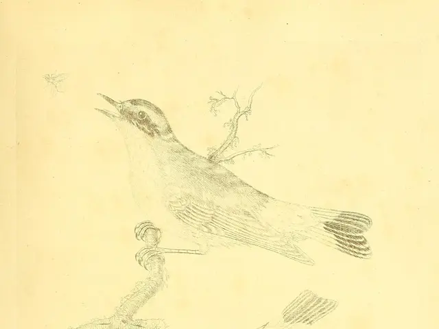 Time-Spanning Connection: Pigeons and Dodos Share DNA Sequences Despite Historical Division