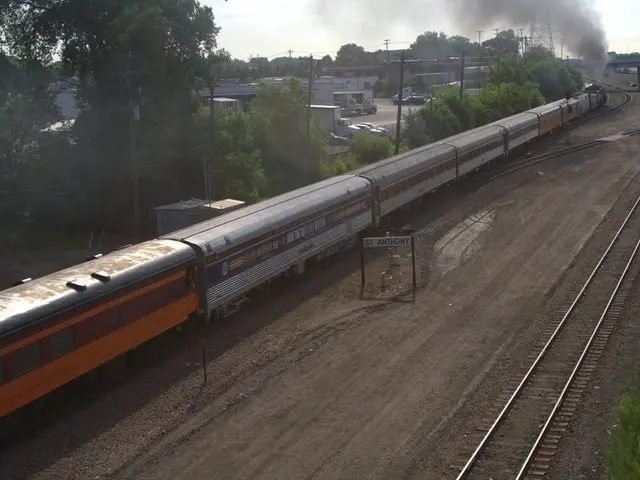 Following the turn, the young males departed.