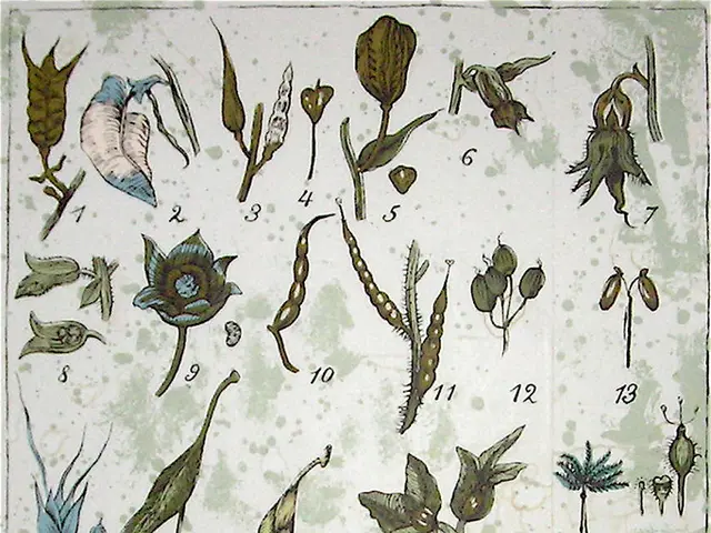 Exploring the Horizon: Advancements and Future Directions in Genetic Modification Techniques