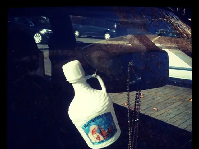 EUDR Rubber Regulations Compliance Guide: A Comprehensive Manual for Adherence