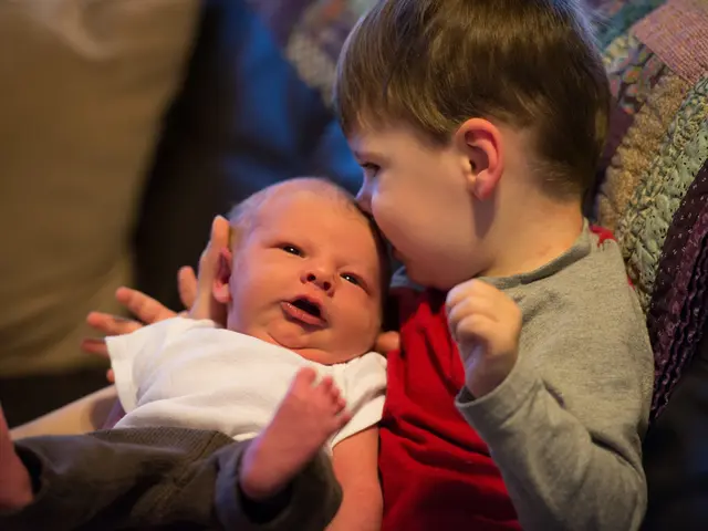 The Importance of Child Care Policies for American Citizens, Regardless of Parental Status