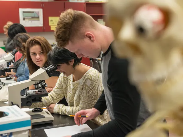 Managing the Overwhelming: A Guide to Handling the Apparent Chaos