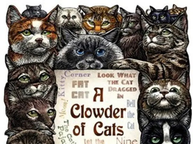 Redefining Animal Care: Examining Animal Welfare Standards in Future Zoological Institutions