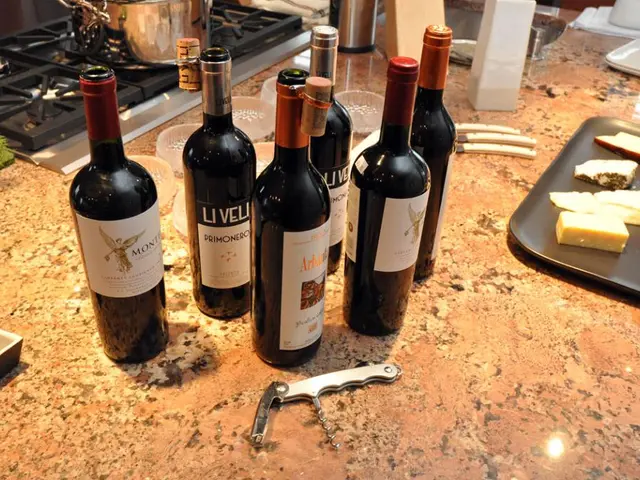 Thirty Tasty and Nutritious Stew Recipes to Delight In