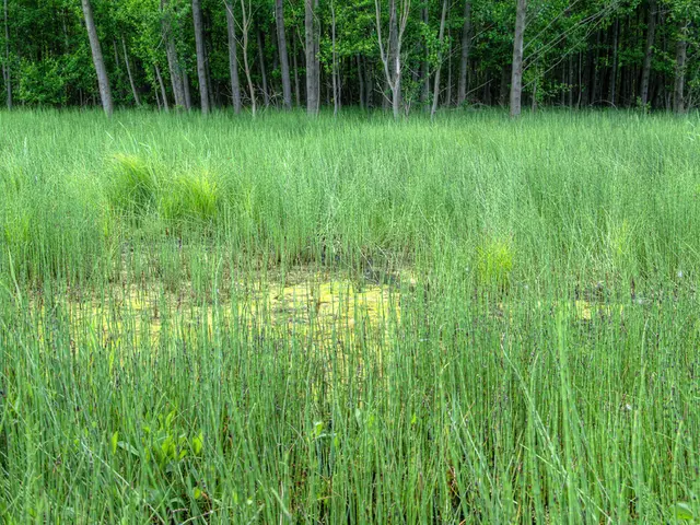 Innovative Concepts for Organizing Agriculture-Based Excursions that Foster Practical Knowledge