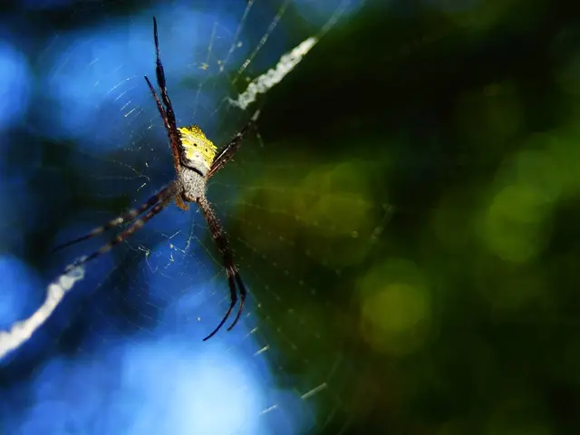 Interpreting the Secret Message Hidden in Your Slumber