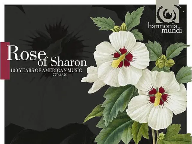 Interpreting the Hidden Messages in Flower Symbolism Through Dreams