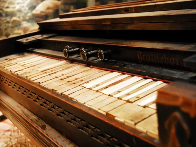 Stanislav Ioudenitch, a faculty member at Park University, has been honored with induction into the...