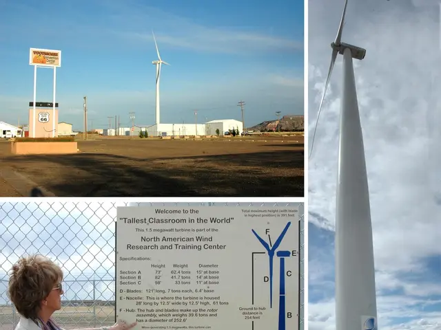 Reflections from Graduate Student Nathan Li