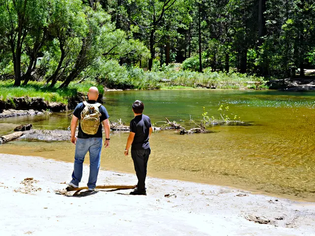 UK banks' online banking services ranked: Highlights and lowlights unveiled
