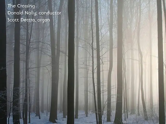 Course Schedule for Winter Semester