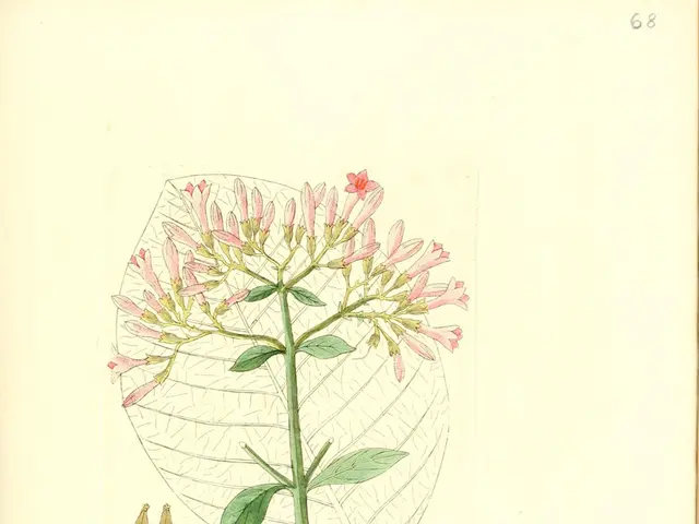 Writing Sessions: Embracing Individual Creative Process at the Literature Hub