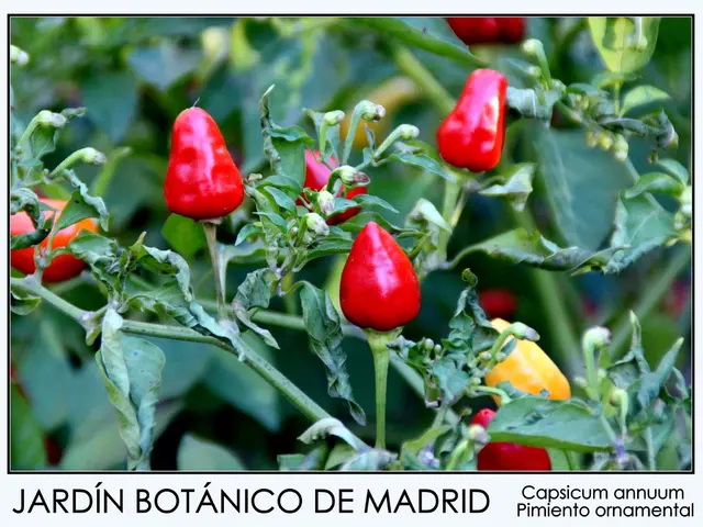 Phytosanitary and Cleanliness Standards (PSC)